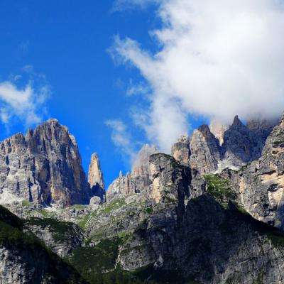 365平台官方版下载截图