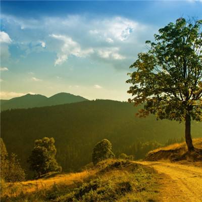 乐鱼app登录入口手机app下载